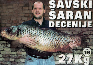 Record photograph for Cyprinus carpio